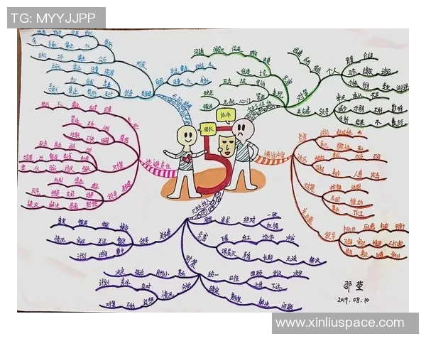 数据分析:西安排球队的团队协作表现